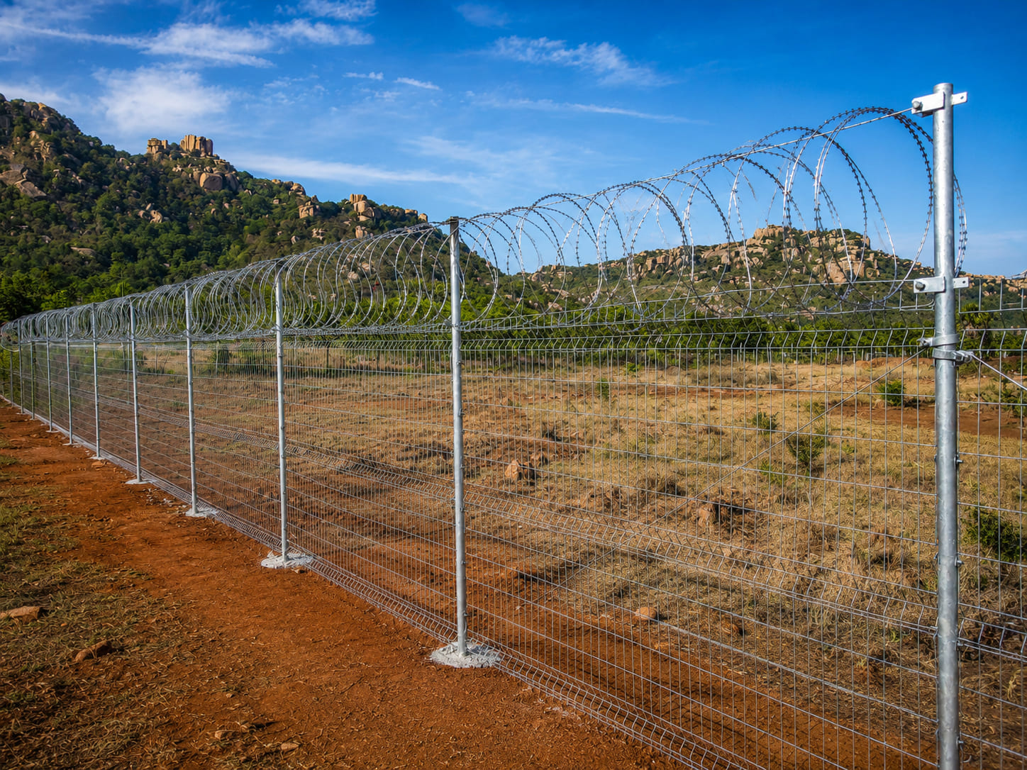 Galvanized 3D welded mesh security fence topped with concertina coil for high-security perimeter protection.