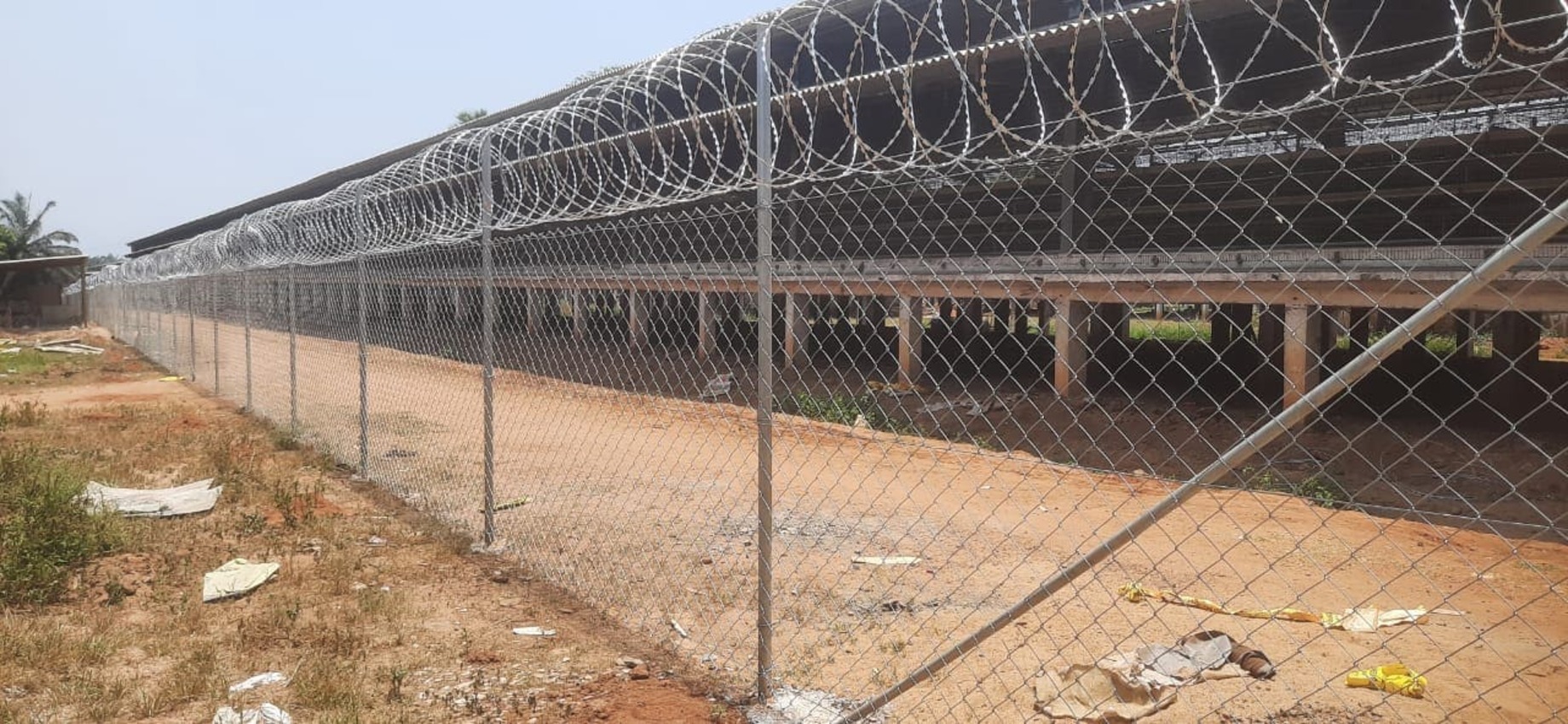 8 Feet Monkey Proof Chain Link Fence with Concertina Coil for Residential Protection