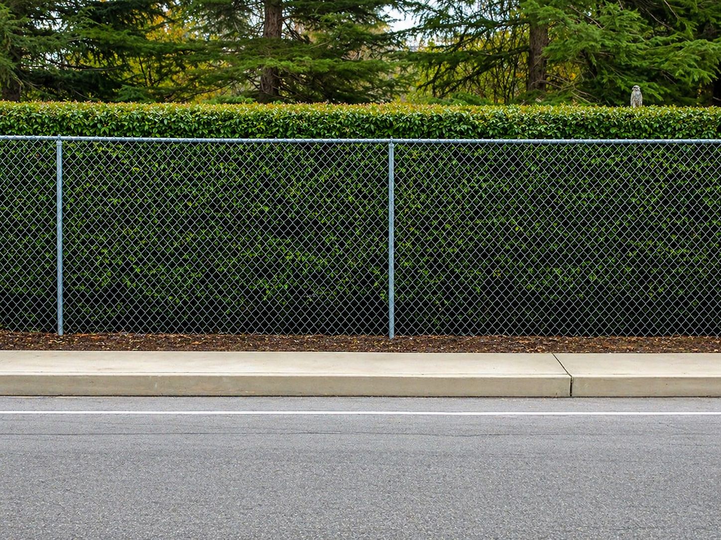 6 Feet 275 GSM Galvanized Chain Link Fence with Heavy-Duty Steel Posts for Industrial and Commercial Security Fencing
